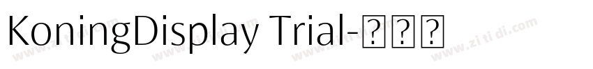 KoningDisplay Trial字体转换